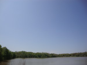 DSC02526