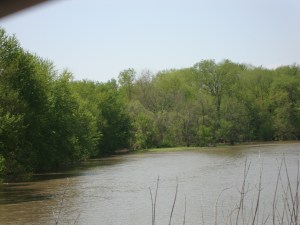 DSC02527