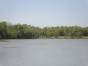DSC02528