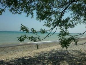 Schlitz Audubon Nature Center Bayside Wisconsin Milwaukee