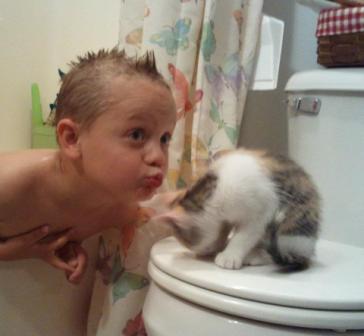 Zelda like to sit on the toilet already My son kissing the cat
