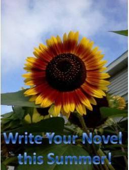 novel writing challenge