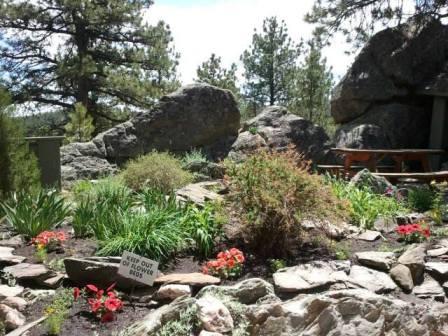 Garden at the Alpine Slide