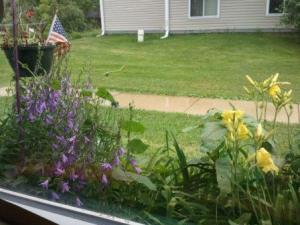 Sitting here watching the flowers grow when I should be writing