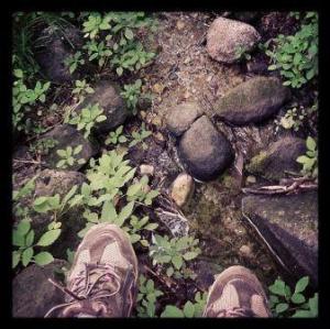 Feet in the forest