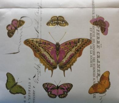 butterfly stationary