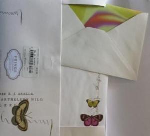 butterfly stationary