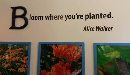 Bloom where you are planted