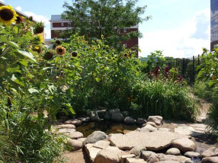 Rooftop garden at the Madison Childrens Museum