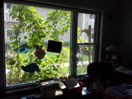 The view outside my office