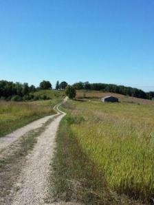 Dirt road through Horicon Marsh