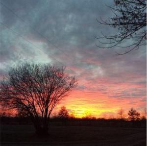 Winter sunset photo
