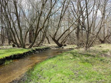 Pretty creek at Richfield Nature Park 2