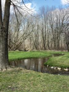 Pretty creek at Richfield Nature Park