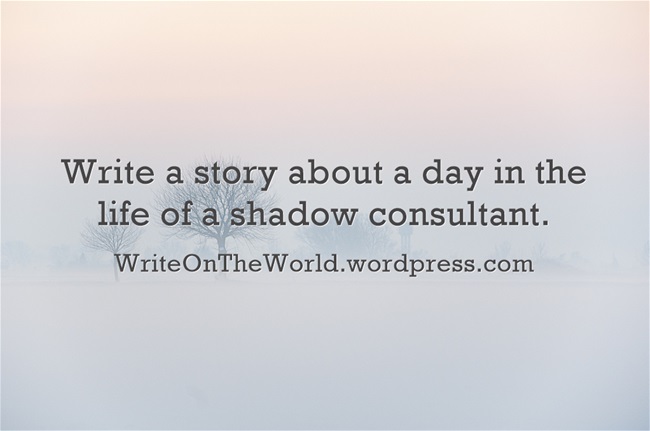 A day in the life of a shadow consultant