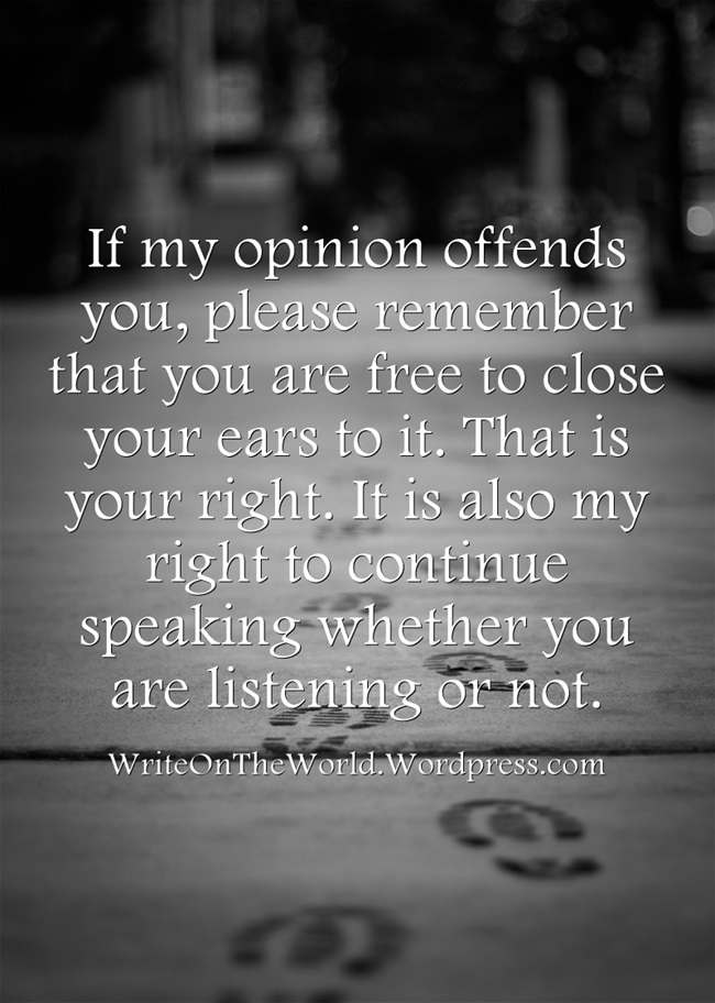 If-my-opinion-offends